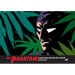 The Phantom: The Complete Newspaper Dailies Volume 34: 1989-1991