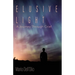 Elusive Light: A Journey Through Grief