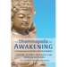 The Dhammapada for Awakening: A Commentary on Buddha's Practical Wisdom