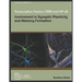 Transcription Factors CREB and NF-KB: Involvement in Synaptic Plasticity and Memory Formation