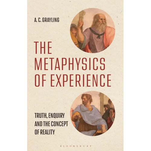 The Metaphysics of Experience: Truth, Enquiry and the Concept of Reality