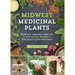 Midwest Medicinal Plants: Identify, Harvest, and Use 109 Wild Herbs for Health and Wellness