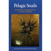 Pelagic Snails: The Biology of Holoplanktonic Gastropod Mollusks