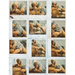Polaroids
