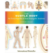 The Subtle Body: An Encyclopedia of Your Energetic Anatomy