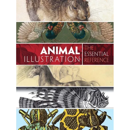 Animal Illustration: The Essential Reference