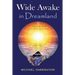 Wide Awake in Dreamland: A Journey Ends at Colliding Rivers