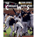 The Chicago White Sox