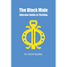 The Black Male Educator Guide to Thriving