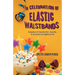 In Celebration of Elastic Waistbands: Episodes of Imperfection, Insanity, & Occasional Enlightenment