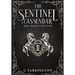 The Sentinel of Cassendar: The High Captain