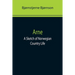 Arne: A Sketch of Norwegian Country Life