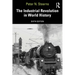 The Industrial Revolution in World History