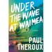 Under the Wave at Waimea