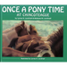 Once a Pony Time at Chincoteague