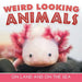 Weird Looking Animals On Land and On The Sea