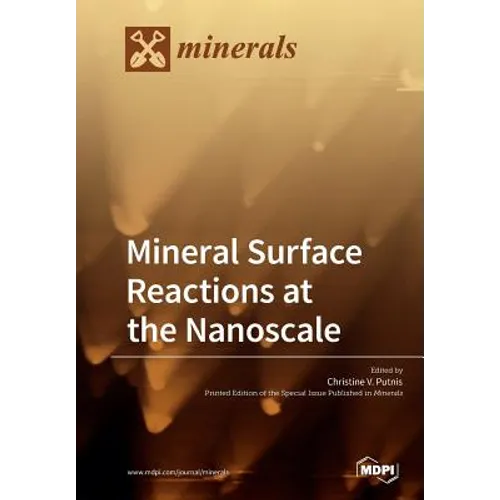 Mineral Surface Reactions at the Nanoscale