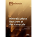 Mineral Surface Reactions at the Nanoscale