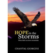 Hope in the Storms: When faith can move mountains