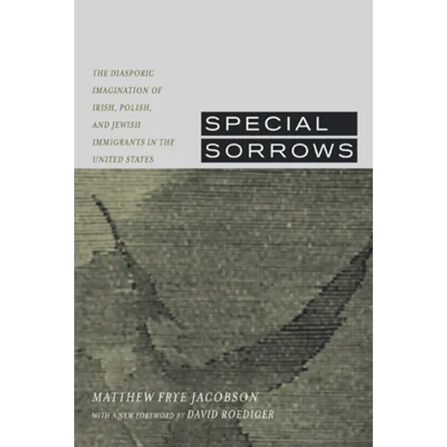 Special Sorrows: The Diasporic Imagination of Irish, Polish, and Jewish Immigrants in the United States