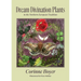 Dream Divination Plants: In Northwestern European Traditions