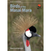 Birds of the Masai Mara