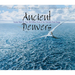 Ancient Denvers: Scenes from the Past 300 Million Years of the Colorado Front Range