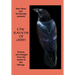 The Ravens of Odin