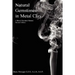 Natural Gemstones in Metal Clay. A Bench Resource Manual.