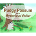 Pudgy Possum and the Mysterious Visitor