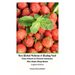 Best Herbal Medicine and Healing Food From Nature to Prevent Insomnia Plus Make Sleep Better English Edition