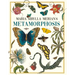 Maria Sibylla Merian's Metamorphosis: One Woman's Discovery of the Transformation of Butterflies and Insects