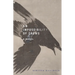 An Impossibility of Crows