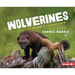 Wolverines: Nature's Cleanup Crew