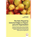The Role Played by Extremal Edges in Figure-ground Organization