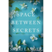 The Space between Secrets