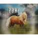 Pony
