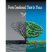 From Emotional Pain to Peace
