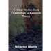 Critical Studies from Elizabethan to Romantic Poetry
