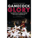 Gamecock Glory: The University of South Carolina Baseball Team's Journey to the 2010 NCAA Championship