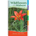 Wildflowers of the Midwest: Your Way to Easily Identify Wildflowers