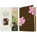 Biblia de Estudio del Diario Vivir Ntv (Sentipiel, Café/Rosa, Índice, Letra Roja)