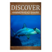 Hammerhead Shark - Discover: Early reader's wildlife photography book
