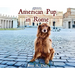 American Pup in Rome