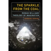 The Sparkle from the Coal: Rowan Williams' Theology of Imagination