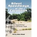 Silent Speedways of the Carolinas: The Grand National Histories of 29 Former Tracks