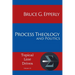 Process Theology and Politics