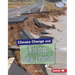 Climate Change and Rising Sea Levels