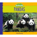 Pandas