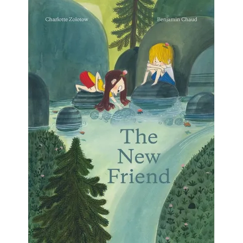 The New Friend: A Picture Book